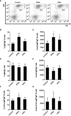 Corrigendum: Type I Interferon Regulates the Survival and Functionality of B Cells in Rainbow Trout